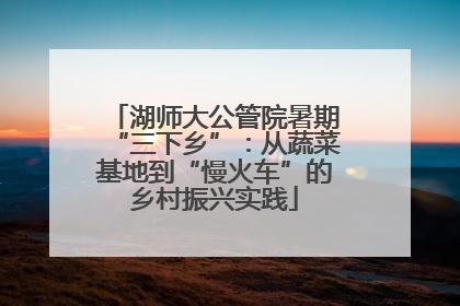 湖师大公管院暑期“三下乡”：从蔬菜基地到“慢火车”的乡村振兴实践