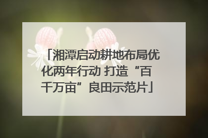 湘潭启动耕地布局优化两年行动 打造“百千万亩”良田示范片