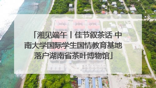 湘见端午丨佳节叙茶话 中南大学国际学生国情教育基地落户湖南省茶叶博物馆