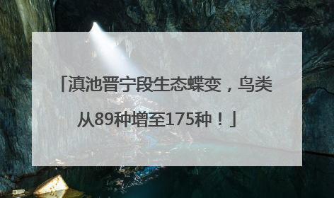 滇池晋宁段生态蝶变，鸟类从89种增至175种！