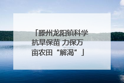 滕州龙阳镇科学抗旱保苗 力保万亩农田“解渴”