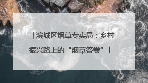 滨城区烟草专卖局：乡村振兴路上的“烟草答卷”
