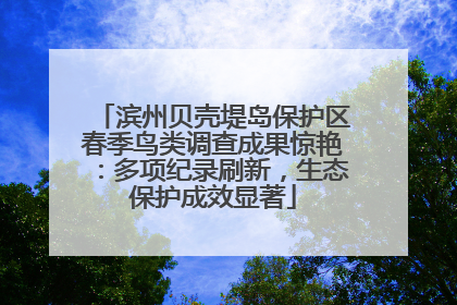 滨州贝壳堤岛保护区春季鸟类调查成果惊艳：多项纪录刷新，生态保护成效显著