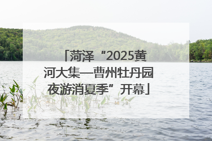 菏泽“2025黄河大集—曹州牡丹园夜游消夏季”开幕