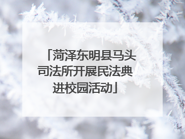 菏泽东明县马头司法所开展民法典进校园活动