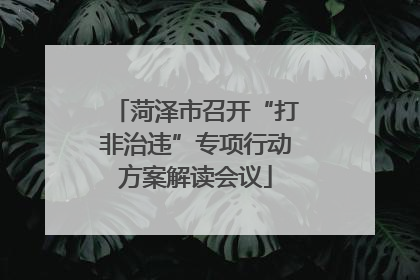 菏泽市召开“打非治违”专项行动方案解读会议