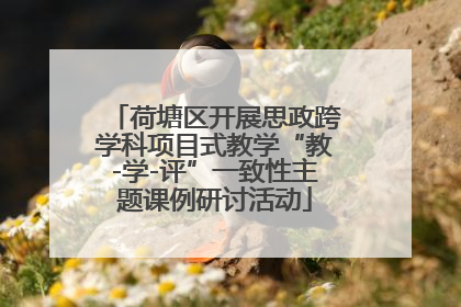 荷塘区开展思政跨学科项目式教学“教-学-评”一致性主题课例研讨活动