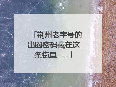 荆州老字号的出圈密码藏在这条街里……
