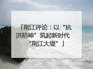 荆江评论：以“抗洪精神”筑起新时代“荆江大堤”