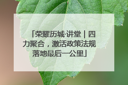 荣耀历城·讲堂｜四力聚合，激活政策法规落地最后一公里