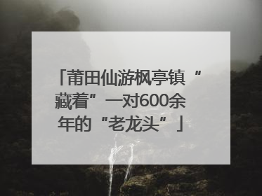 莆田仙游枫亭镇“藏着”一对600余年的“老龙头”