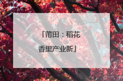 莆田：稻花香里产业新
