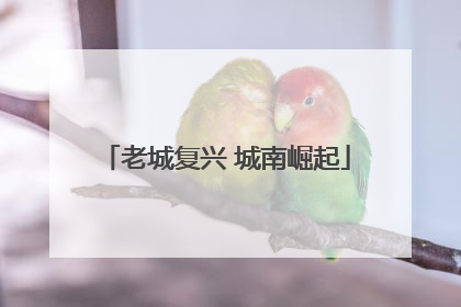 老城复兴 城南崛起