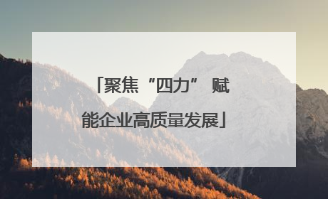 聚焦“四力” 赋能企业高质量发展