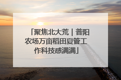 聚焦北大荒｜普阳农场万亩稻田夏管工作科技感满满