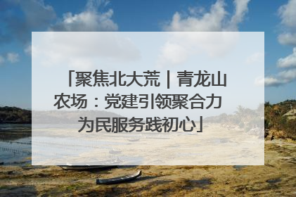 聚焦北大荒｜青龙山农场：党建引领聚合力 为民服务践初心