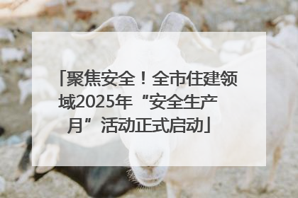 聚焦安全！全市住建领域2025年“安全生产月”活动正式启动