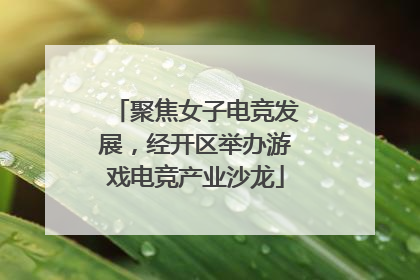 聚焦女子电竞发展，经开区举办游戏电竞产业沙龙