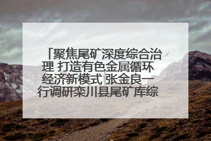 聚焦尾矿深度综合治理 打造有色金属循环经济新模式 张金良一行调研栾川县尾矿库综合治理工作