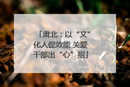 肃北：以“文”化人促效能 关爱干部出“心”招