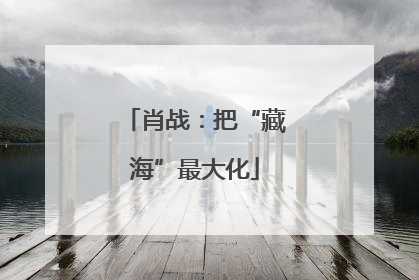肖战：把“藏海”最大化