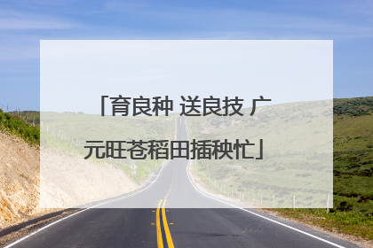 育良种 送良技 广元旺苍稻田插秧忙
