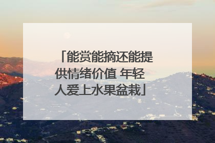 能赏能摘还能提供情绪价值 年轻人爱上水果盆栽