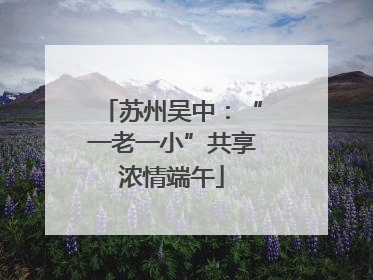 苏州吴中：“一老一小”共享浓情端午