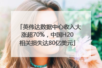 英伟达数据中心收入大涨超70%，中国H20相关损失达80亿美元