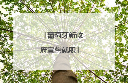 葡萄牙新政府宣誓就职