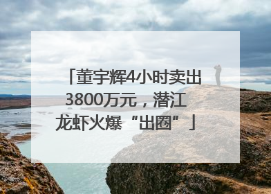董宇辉4小时卖出3800万元，潜江龙虾火爆“出圈”
