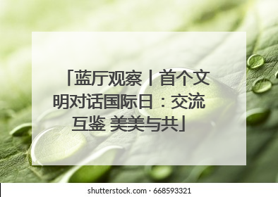 蓝厅观察丨首个文明对话国际日：交流互鉴 美美与共