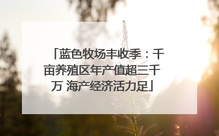 蓝色牧场丰收季：千亩养殖区年产值超三千万 海产经济活力足