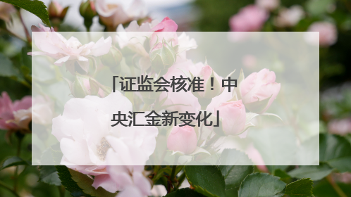 证监会核准！中央汇金新变化