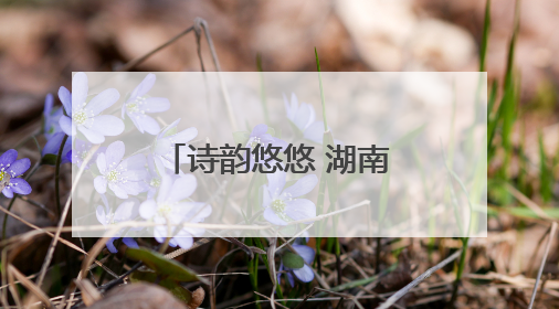 诗韵悠悠 湖南邵东市举行第五届端午音乐诗会