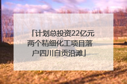 计划总投资22亿元 两个精细化工项目落户四川自贡沿滩
