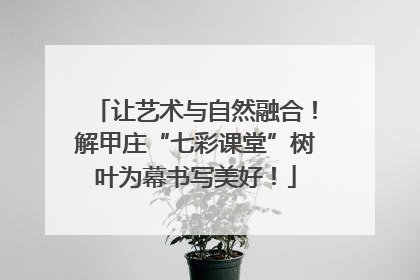 让艺术与自然融合！解甲庄“七彩课堂”树叶为幕书写美好！