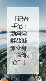 记者手记：渤海湾畔盐碱滩变身“新粮仓”
