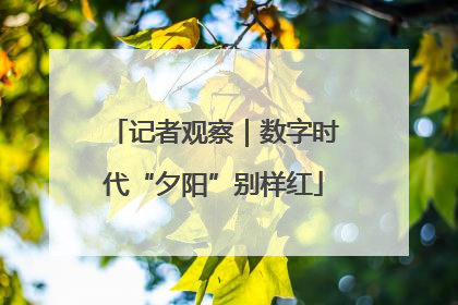 记者观察｜数字时代“夕阳”别样红