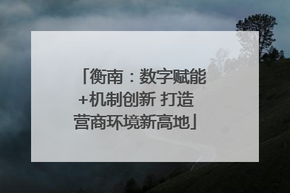 衡南：数字赋能+机制创新 打造营商环境新高地