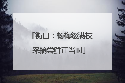 衡山：杨梅缀满枝 采摘尝鲜正当时