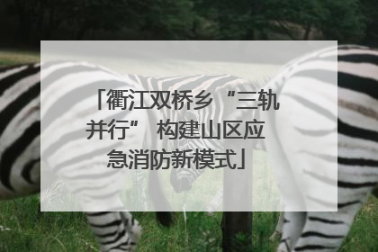衢江双桥乡“三轨并行” 构建山区应急消防新模式