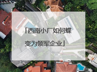西南小厂如何蝶变为领军企业