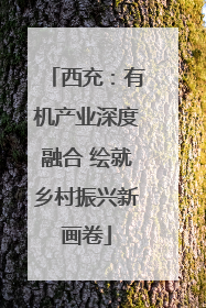 西充：有机产业深度融合 绘就乡村振兴新画卷