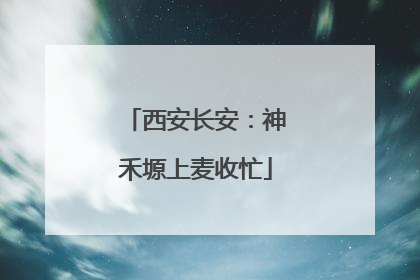 西安长安：神禾塬上麦收忙