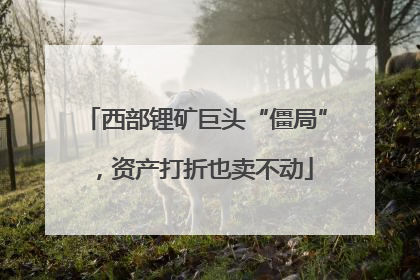 西部锂矿巨头“僵局”，资产打折也卖不动