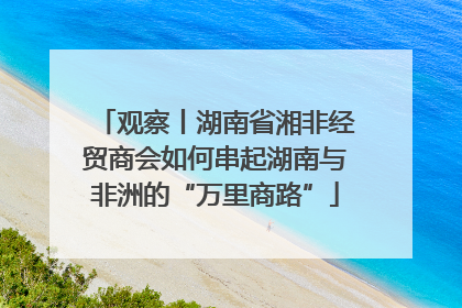 观察丨湖南省湘非经贸商会如何串起湖南与非洲的“万里商路”