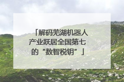 解码芜湖机器人产业跃居全国第七的“数智税钥”