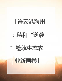 连云港海州：秸秆“逆袭”绘就生态农业新画卷