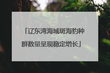 辽东湾海域斑海豹种群数量呈现稳定增长